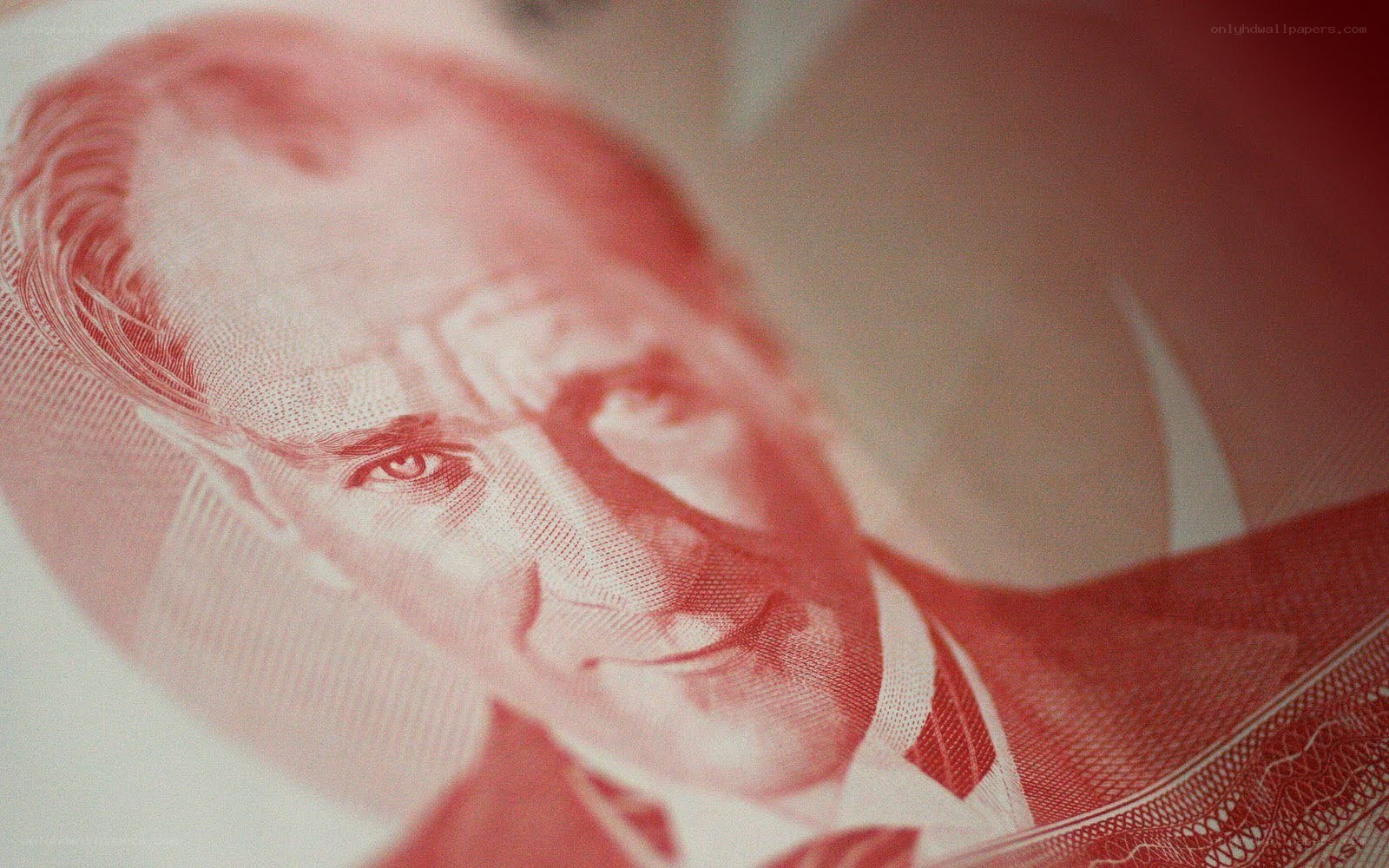 Portrait on Turkish banknote