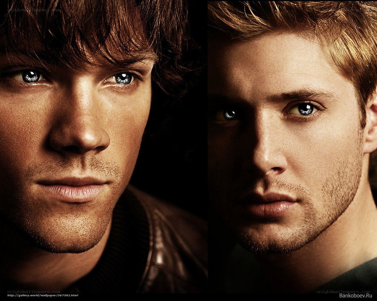 Portraits of two men