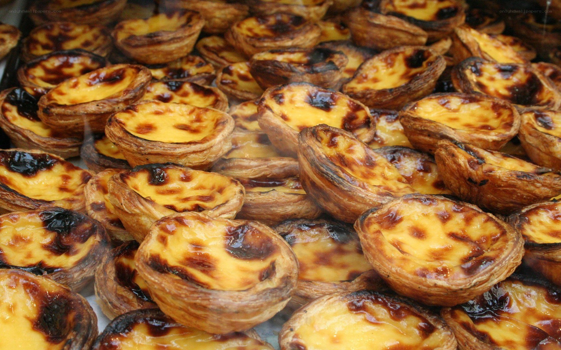 Portuguese custard tarts