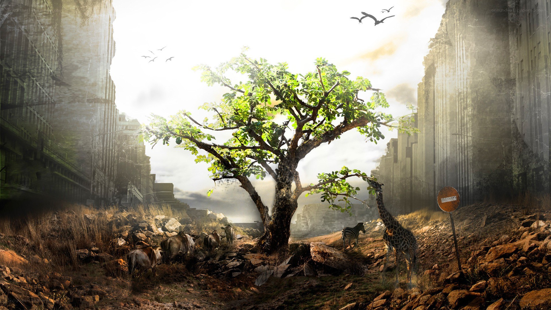 Post-apocalyptic city with wildlife