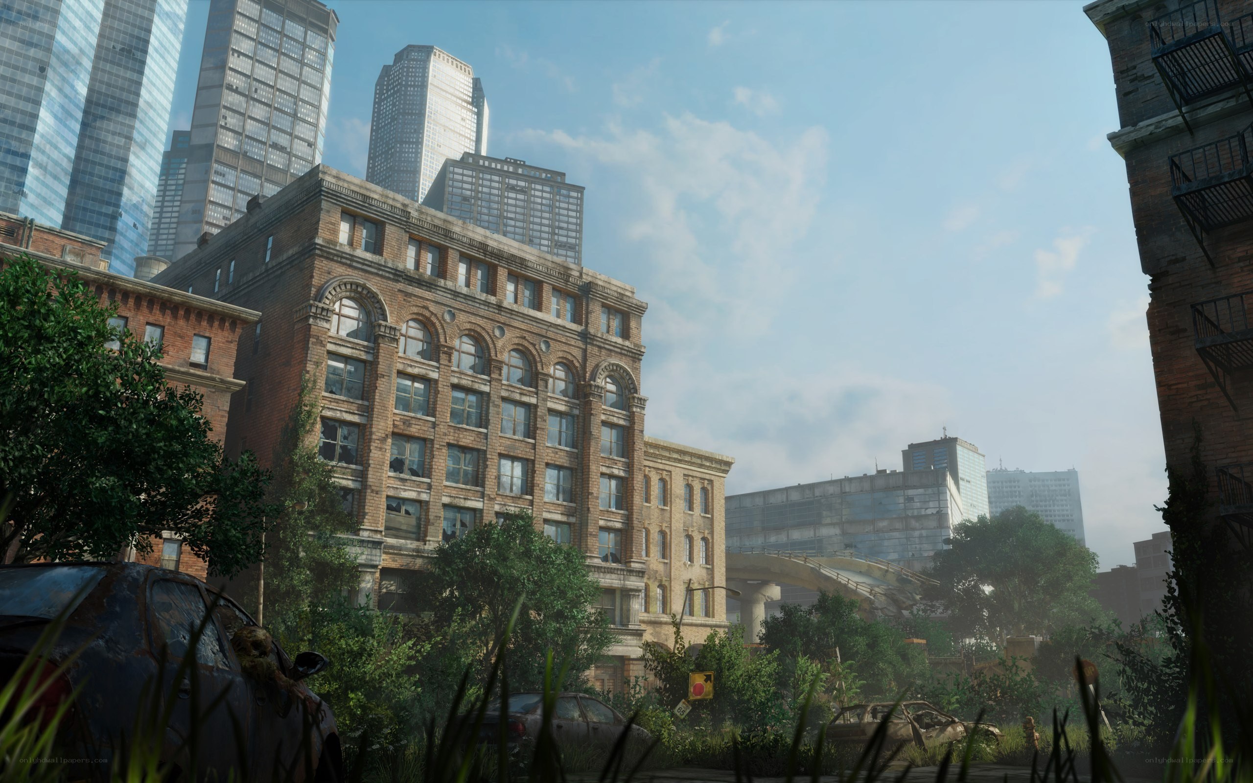 Post-apocalyptic cityscape