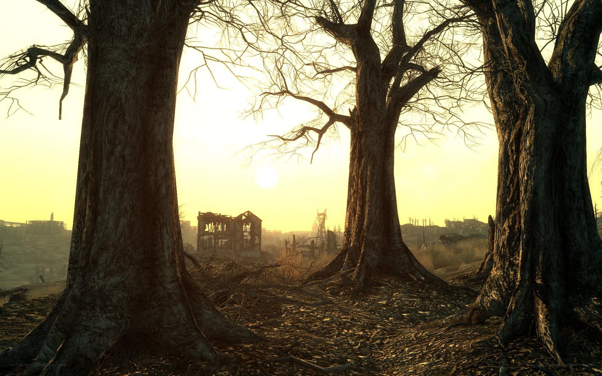Post-apocalyptic forest scene