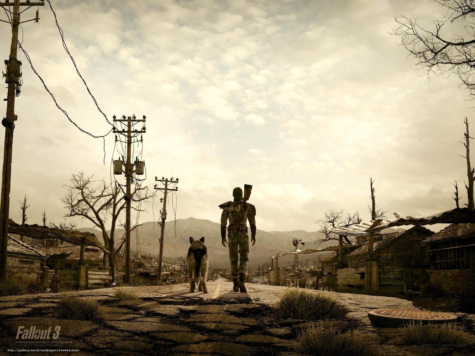 Post-apocalyptic journey with dog