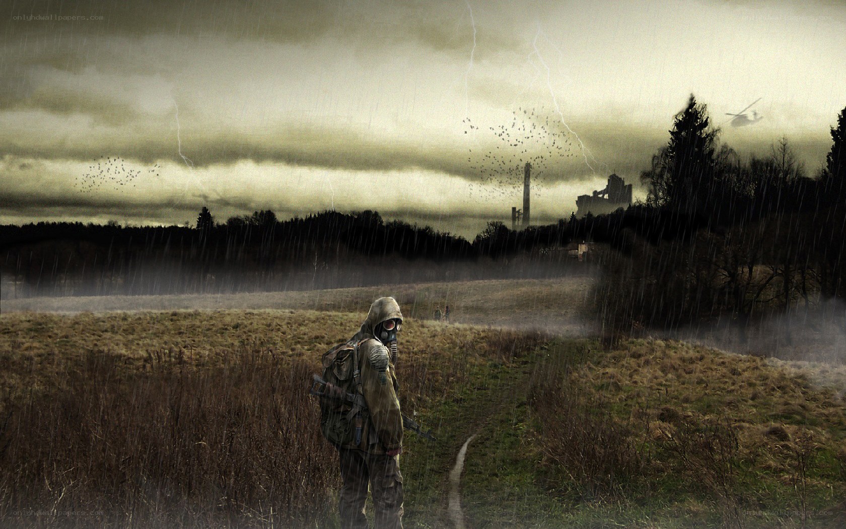 Post-apocalyptic survivor