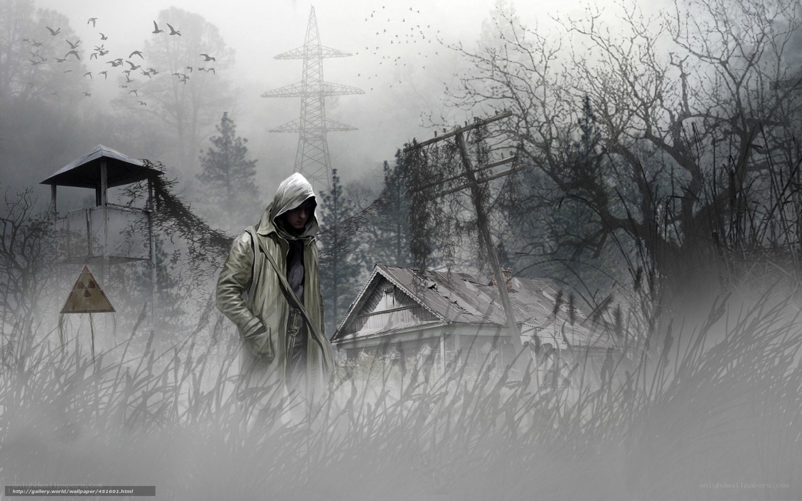 Post-apocalyptic survivor