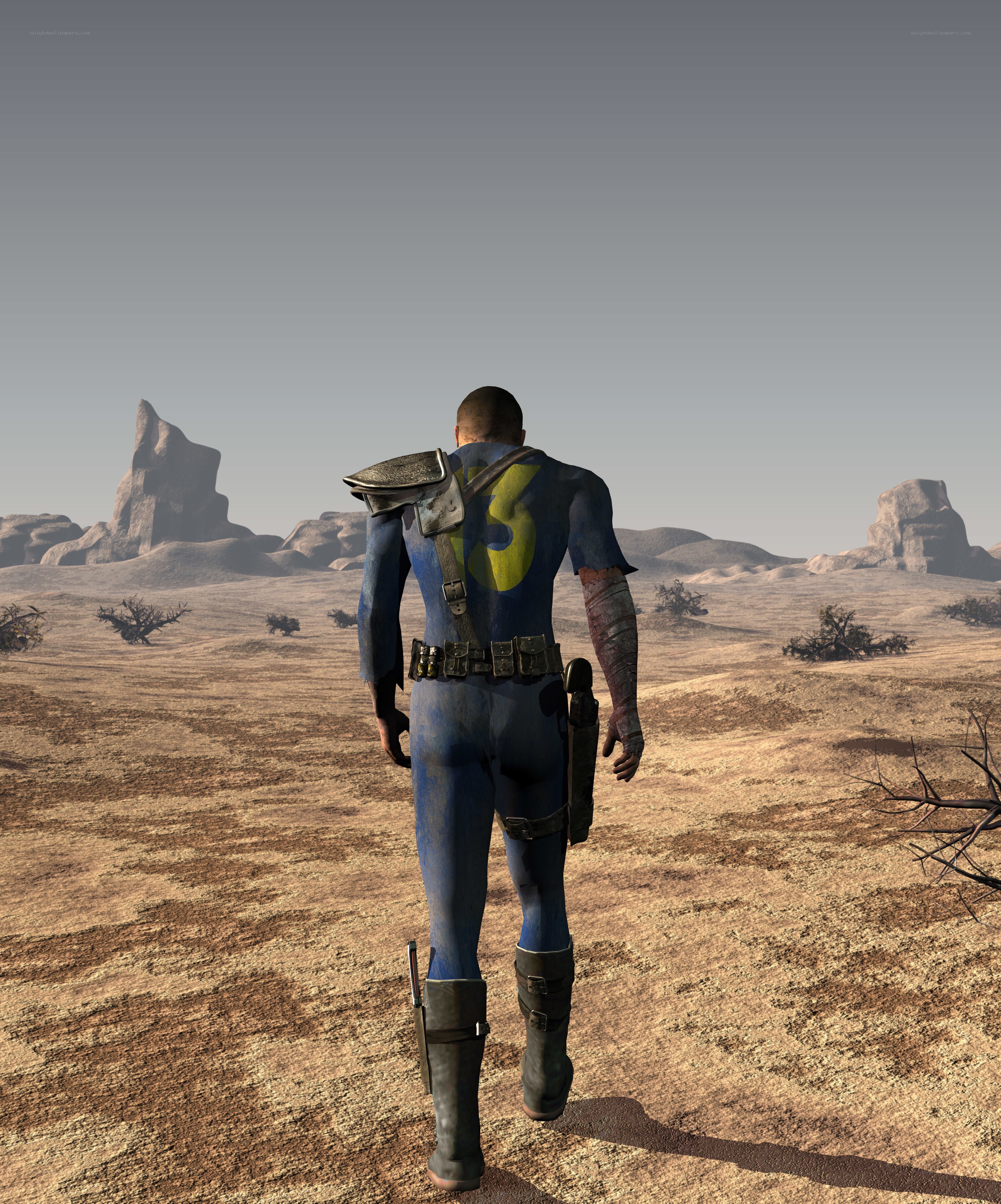 post-apocalyptic wasteland explorer