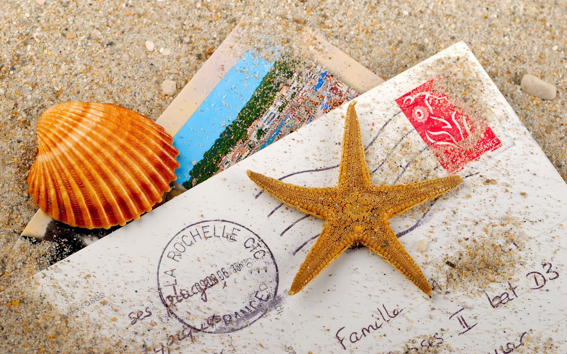 Postcard with seashell and starfish