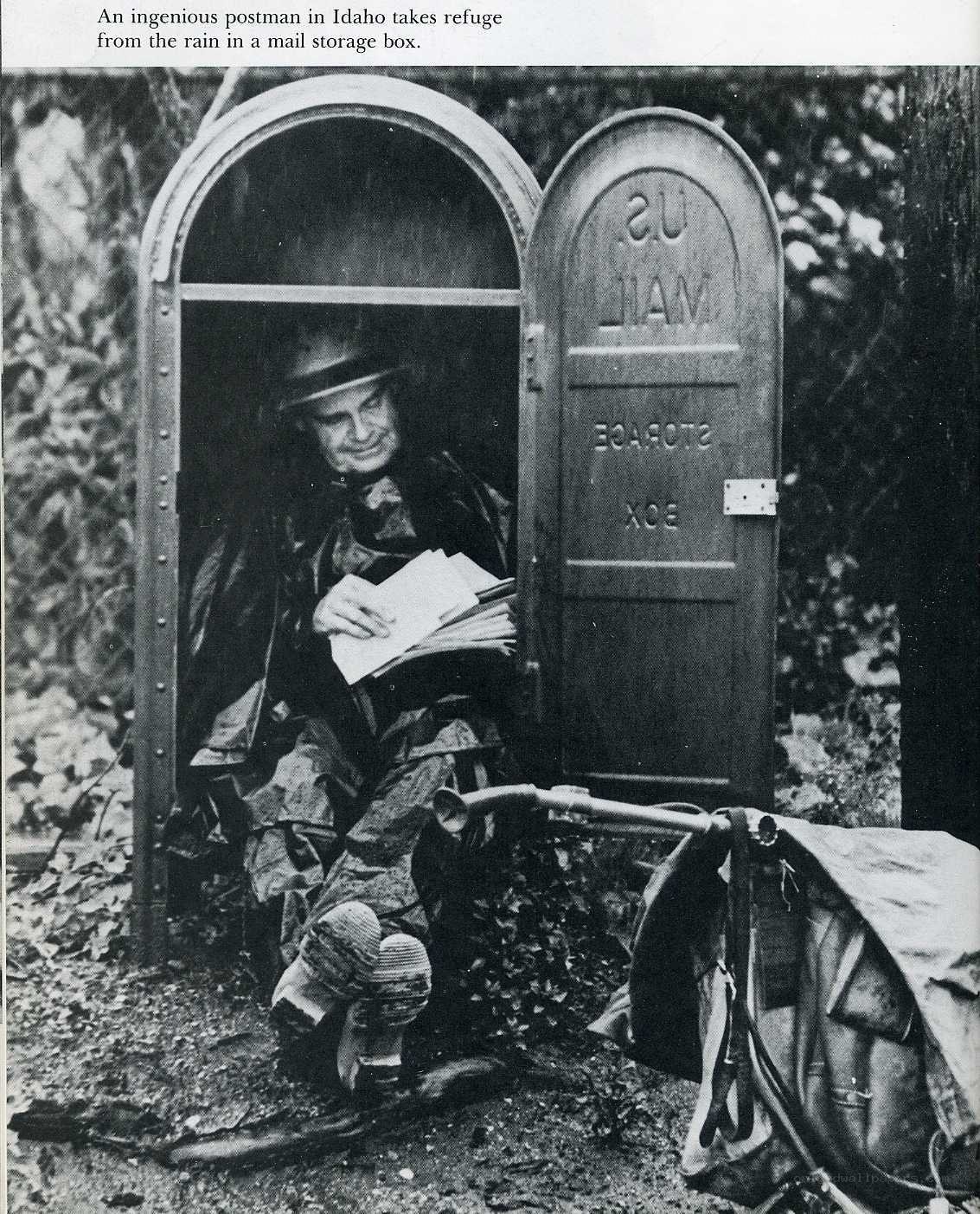 Postman in mail box