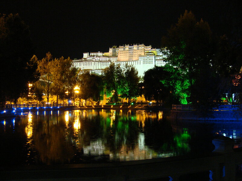 Potala Palace at Night — Black