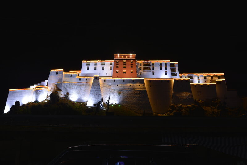 Potala Palace at Night — White, Dramatic