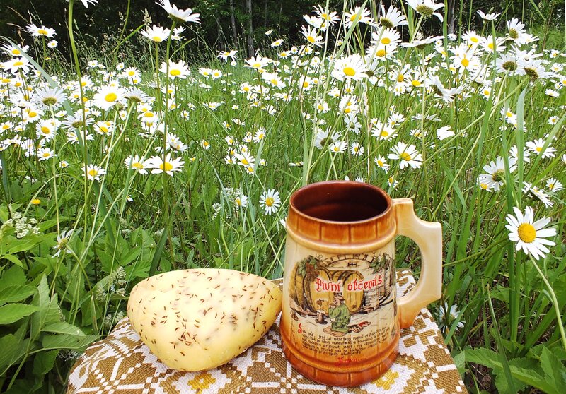 Potato and Mug in Field