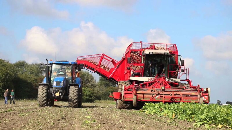 Potato Harvester in Field