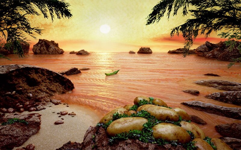 Potatoes on a beach at sunset