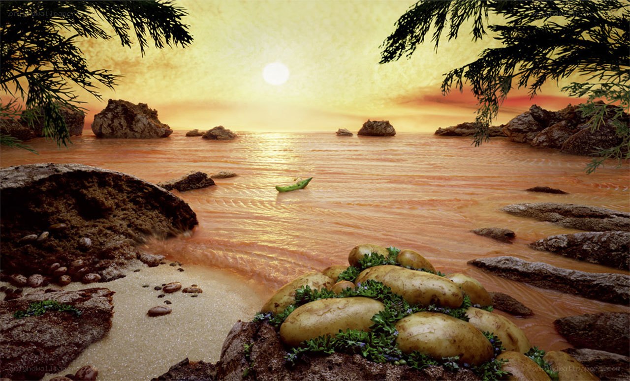 Potatoes on a beach at sunset