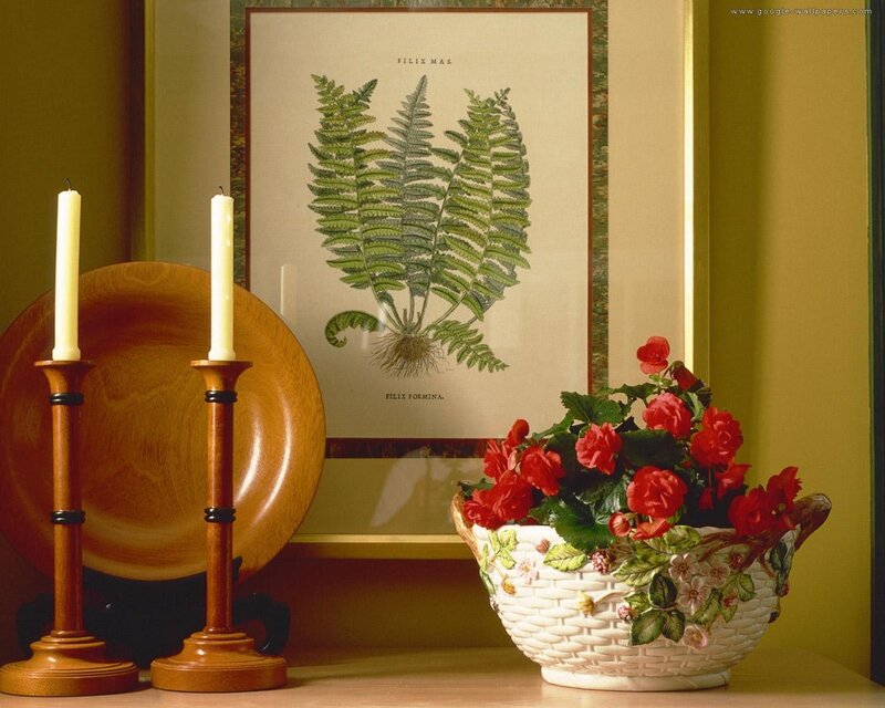 Potted Flowers and Candles