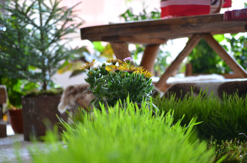 Potted Flowers and Grass