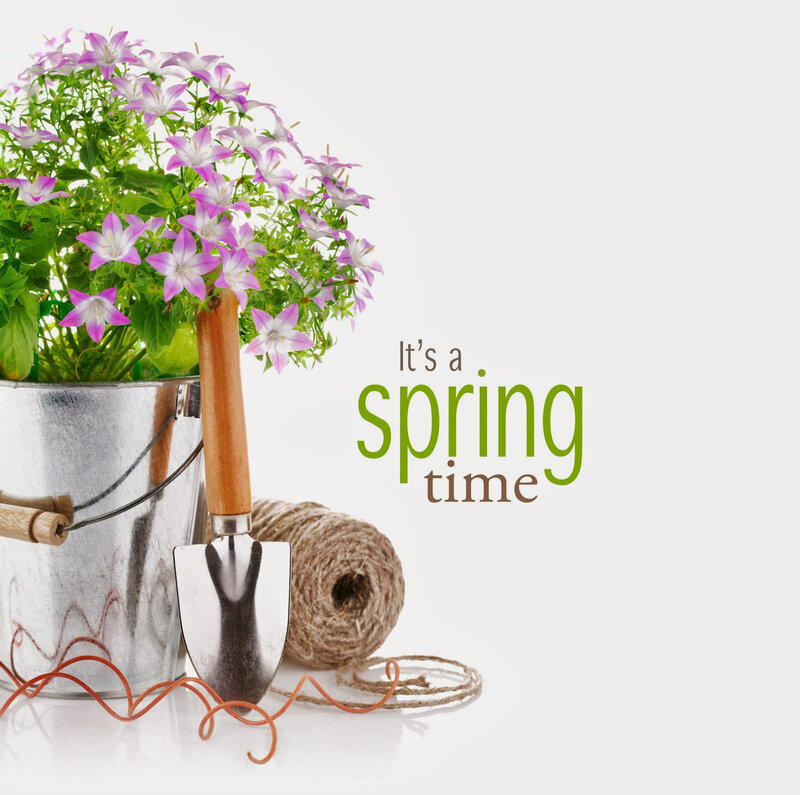 Potted Flowers and Trowel