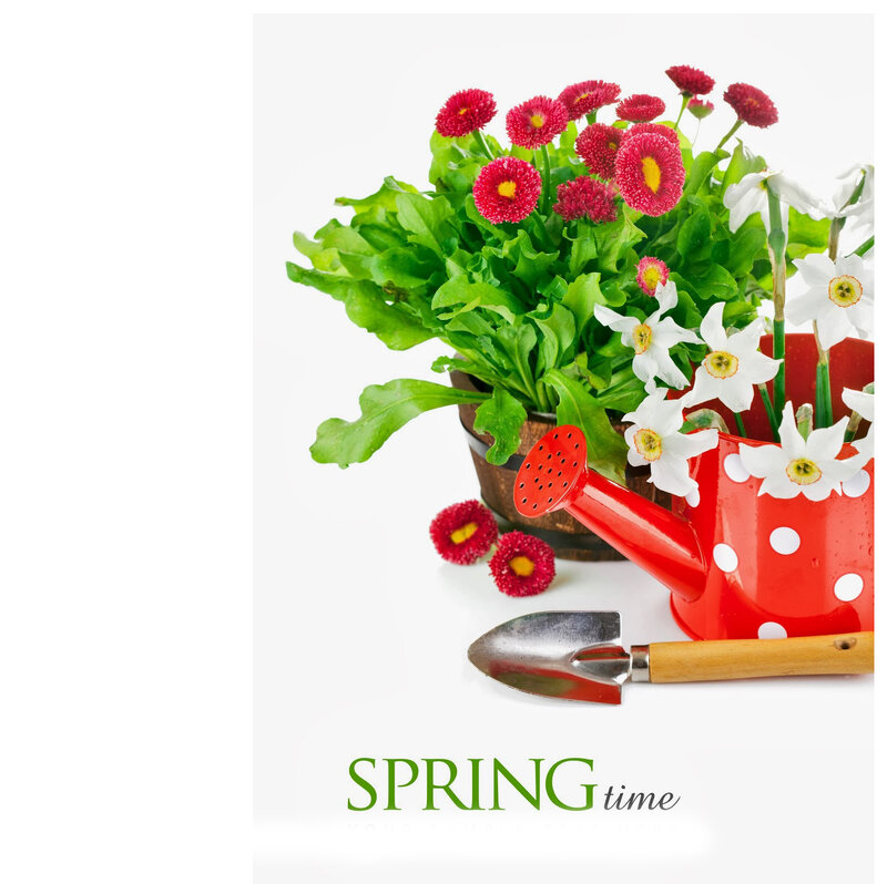 Potted Flowers and Watering Can