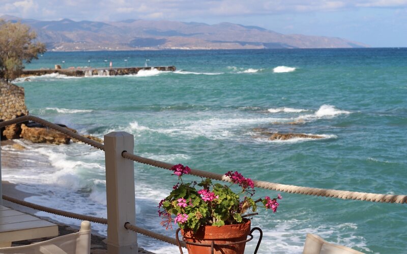 Potted Flowers by Sea