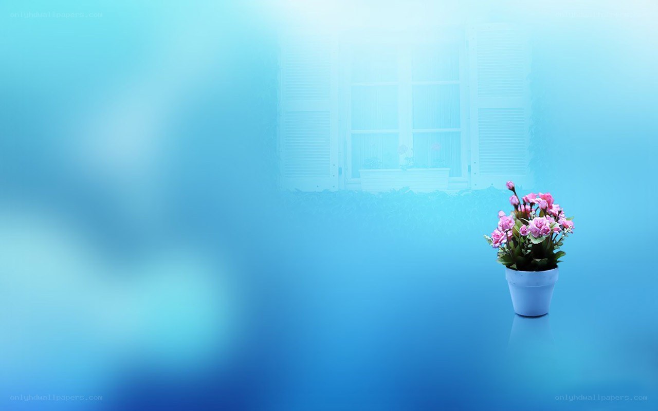 potted flowers in blue light