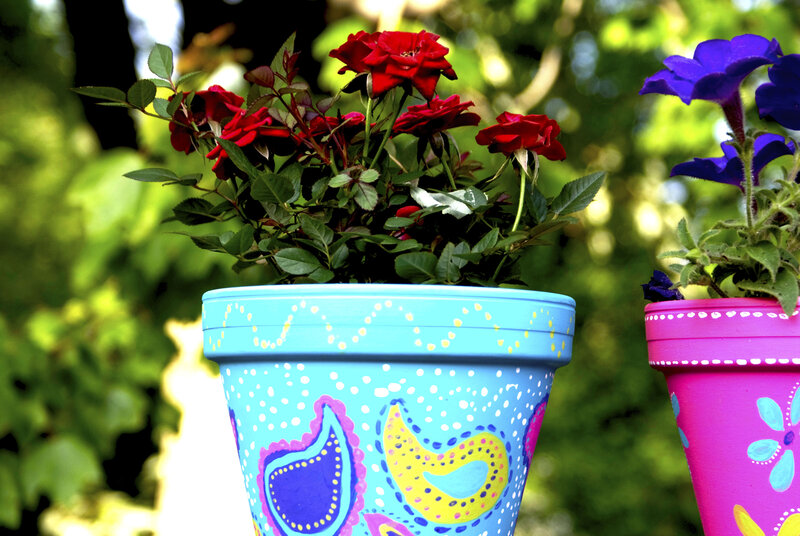 Potted Flowers in Garden — Blue