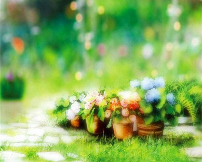 Potted Flowers in Garden — Green, Serene