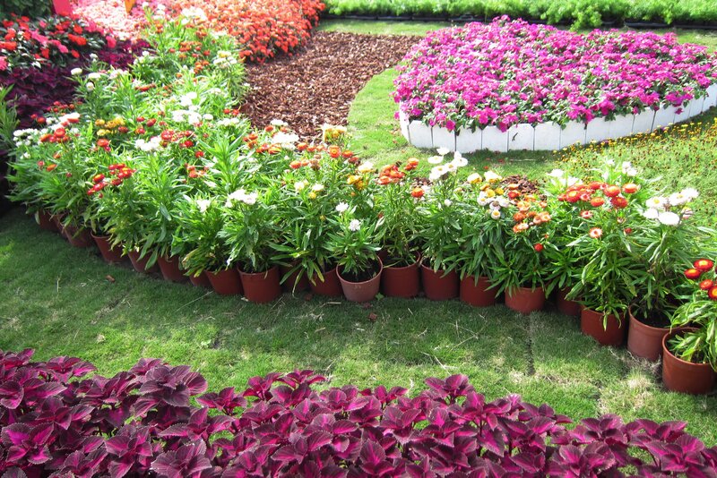 Potted Flowers in Garden — Green