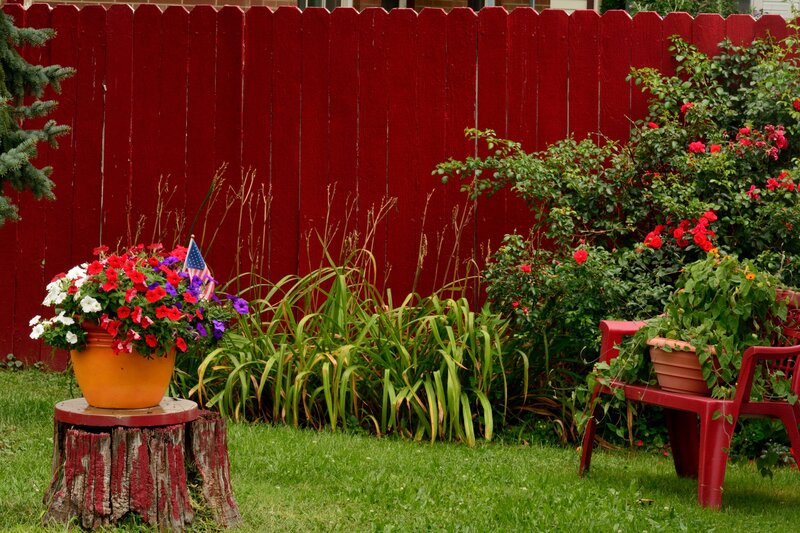 Potted Flowers in Garden — Red, Calm
