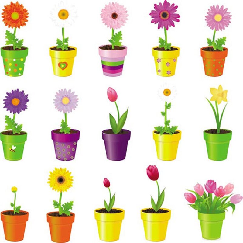 Potted Flowers in Pots