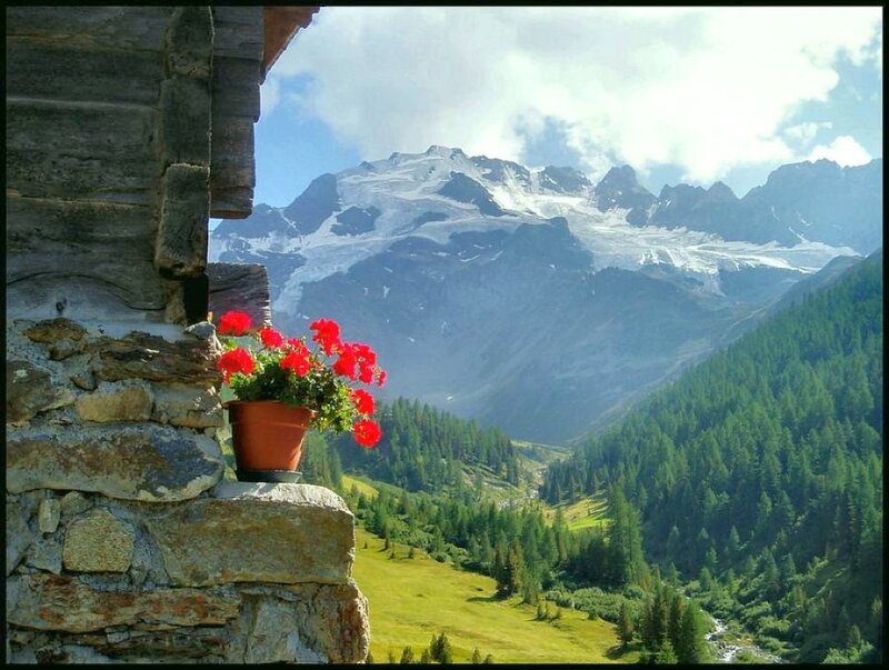 Potted Flowers on Balcony