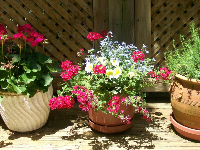 Potted Flowers on Deck — Red