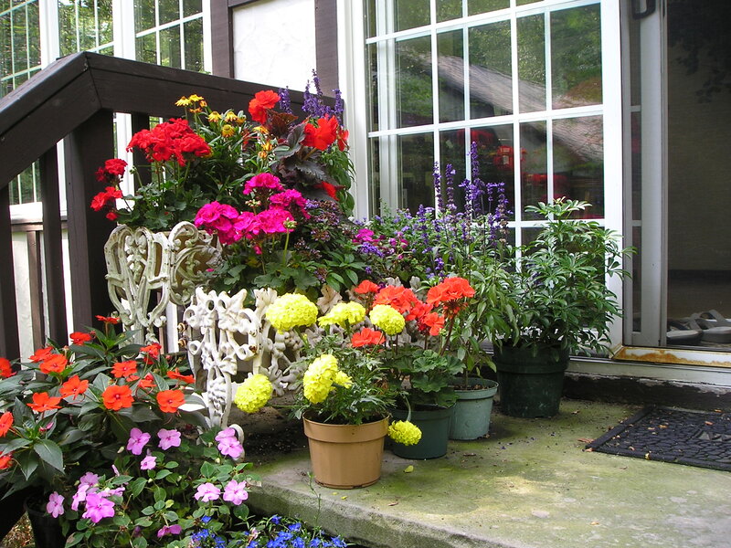 Potted Flowers on Porch — Green
