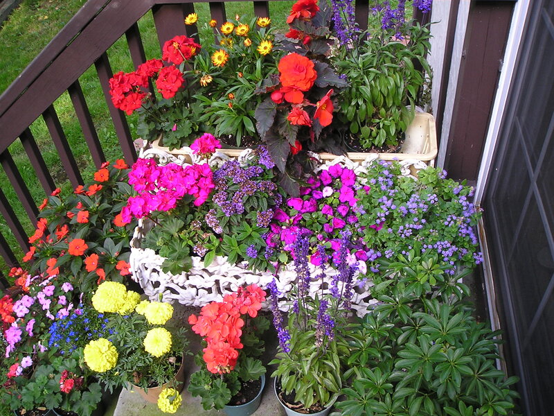 Potted Flowers on Porch — Red