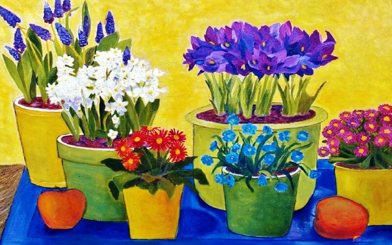 Potted Flowers on Table