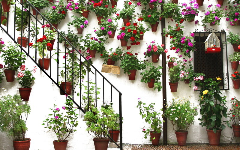 Potted Flowers on Wall — White