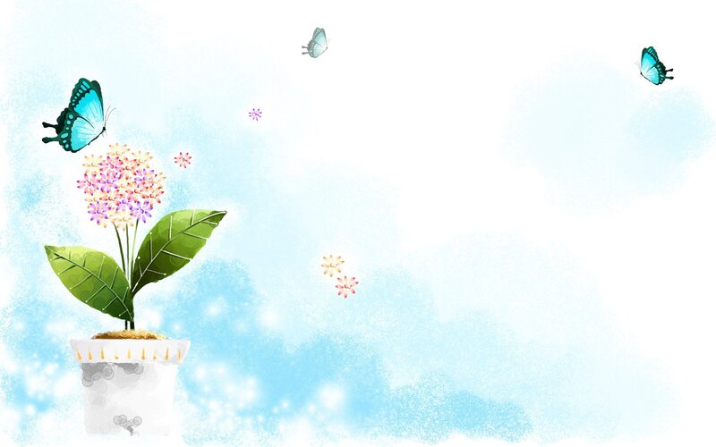 Potted Hydrangea Plant — Blue