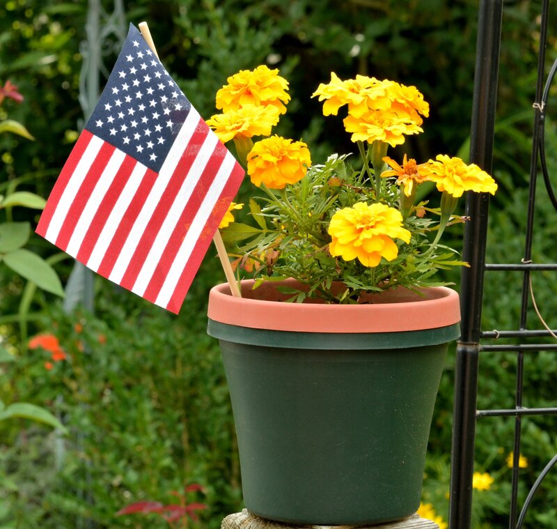 Potted Marigolds with Flag