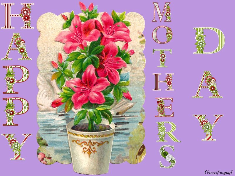 Potted Pink Flowers — Purple