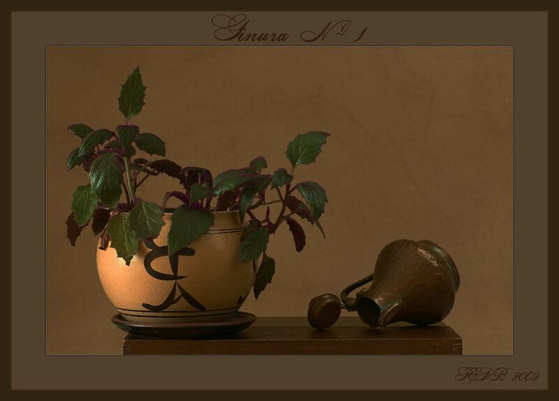 Potted Plant and Copper Pitcher