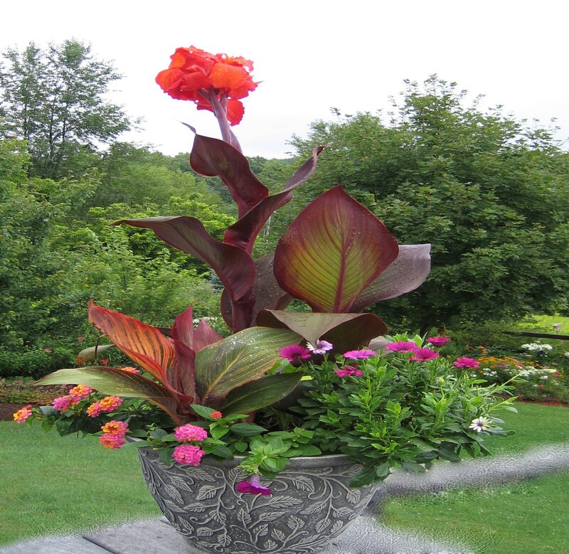 Potted Plant Arrangement — Green