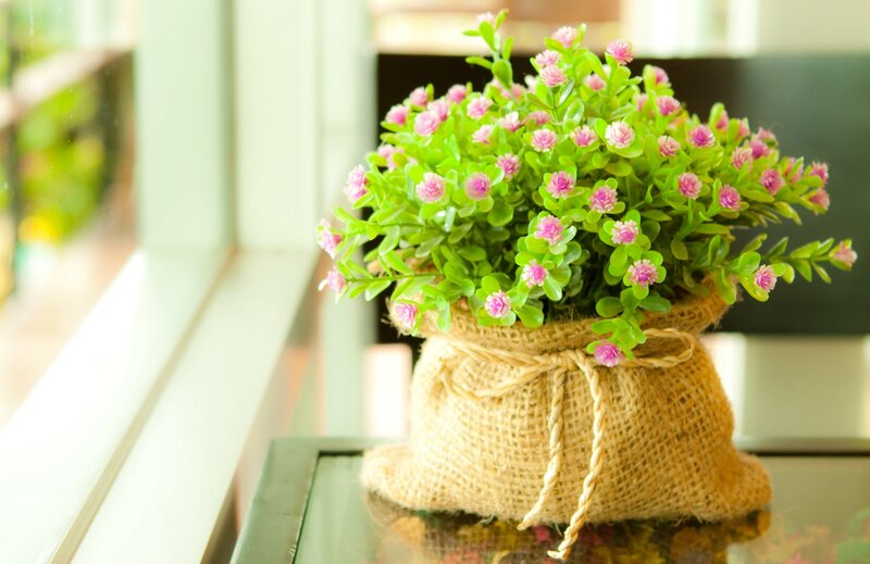 Potted Plant in Burlap Sack — Green