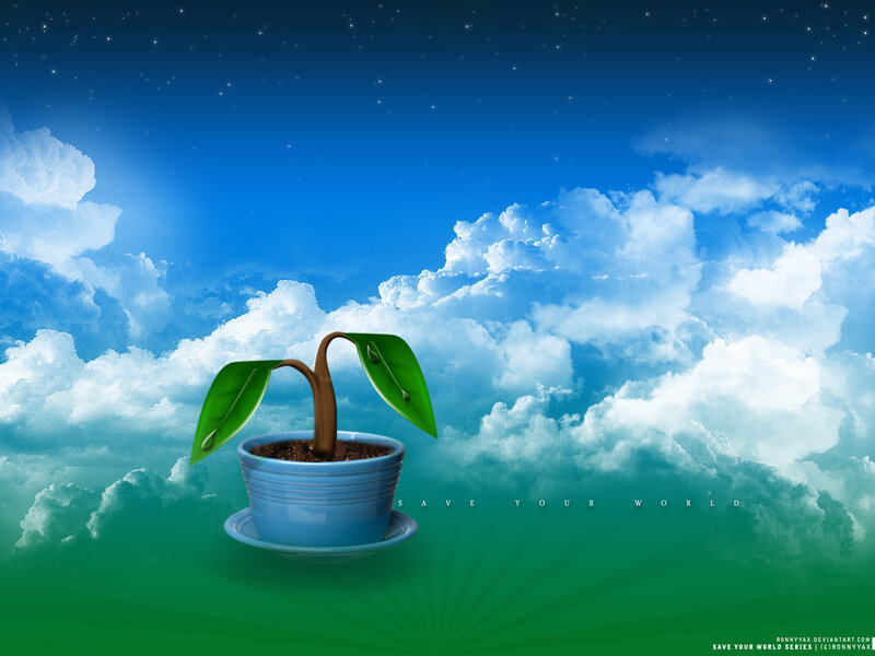 Potted Plant in Clouds