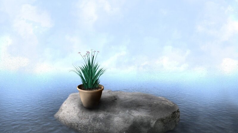 Potted Plant on Rock