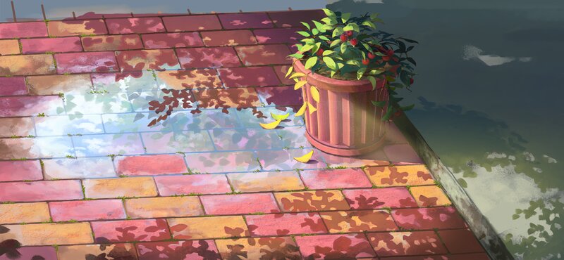 Potted Plant on Rooftop