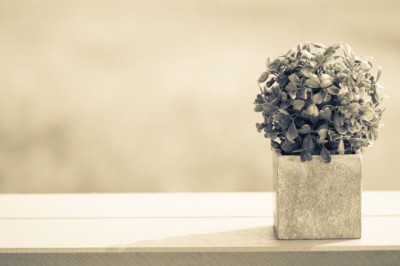 Potted Plant on Table — Beige