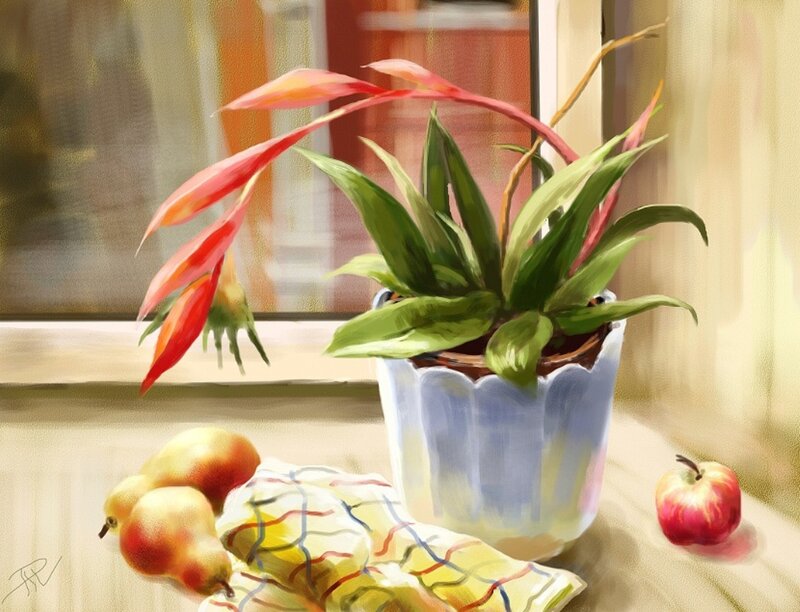 Potted Plant on Windowsill