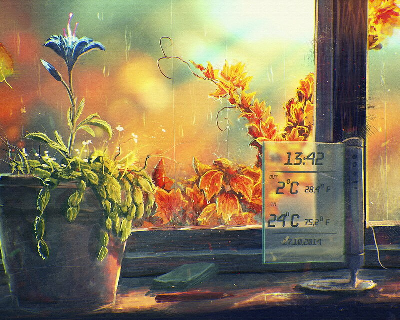 Potted Plant on Windowsill — Yellow