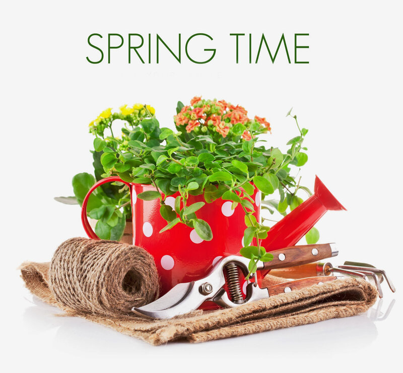 Potted Plant with Gardening Tools