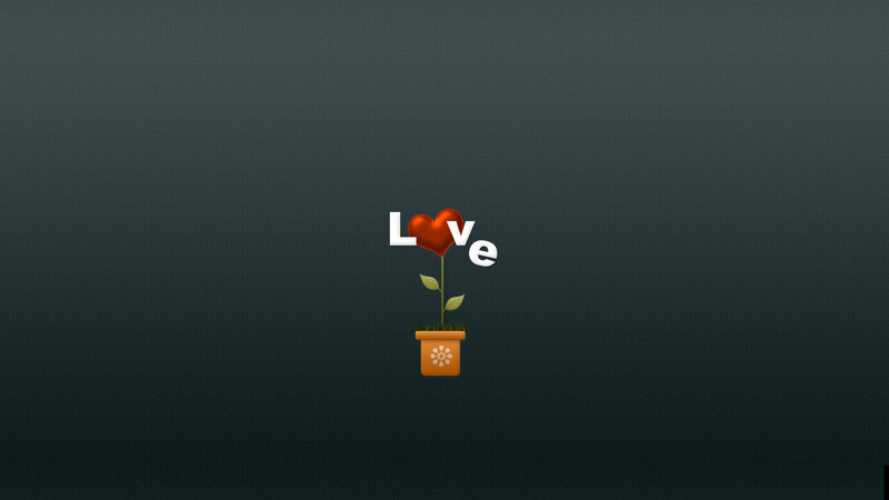 Potted Plant with Heart Flower