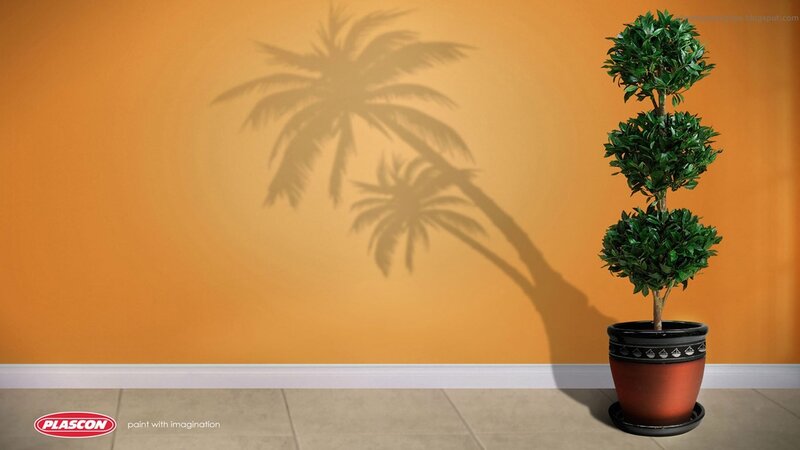 Potted Plant with Palm Shadow